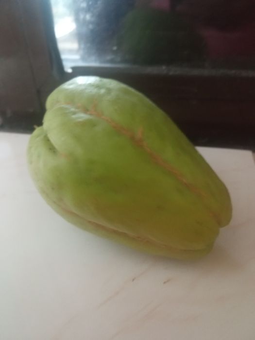 Chuchus Frescos, Saborosos e 100% Naturais!