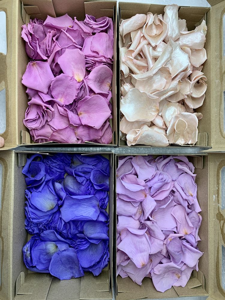 Натуральні пелюстки троянд стабілізовані, підсушені, різні кольори