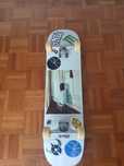 Skate profissional