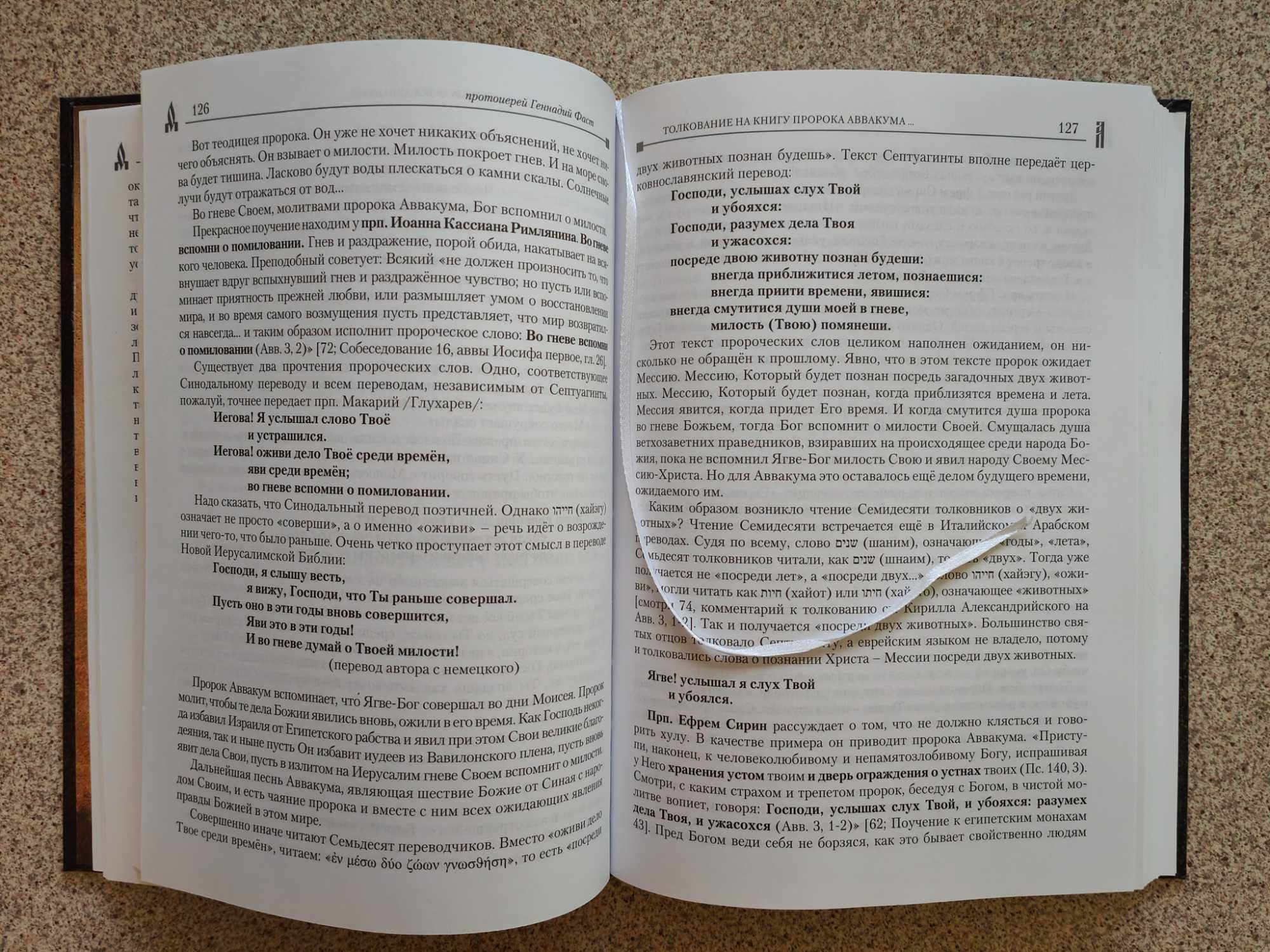 Толкование на книгу пророка Аввакума. Протоиерей Геннадий Фаст