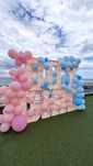 Буквы для гендер пати baby ведущая Фотозона буквы дым салют шарики