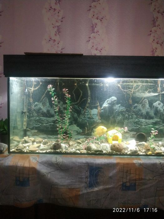 Продам авкааріум