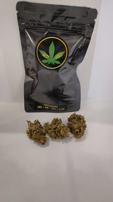 Susz CBD Chocolope 10g