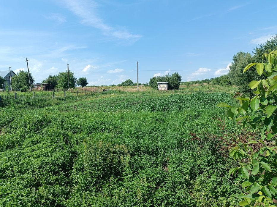 Продаж будинку в Рихтичах