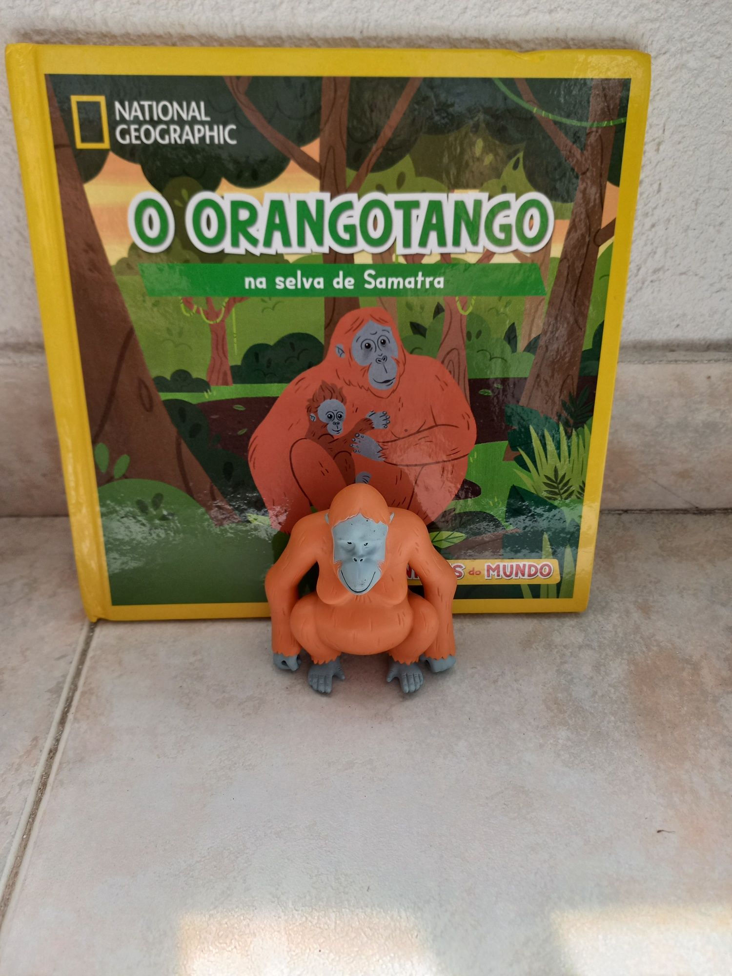 Livro infantil Rei Leão, e livros National Geografic com animal