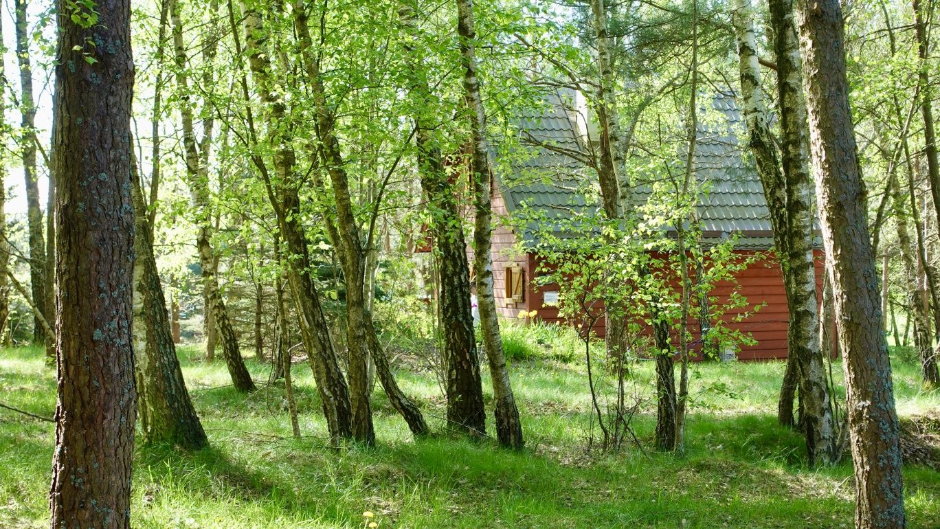 Wynajmę domek  5-6 osobowy na Kaszubach w Bartoszymlesie