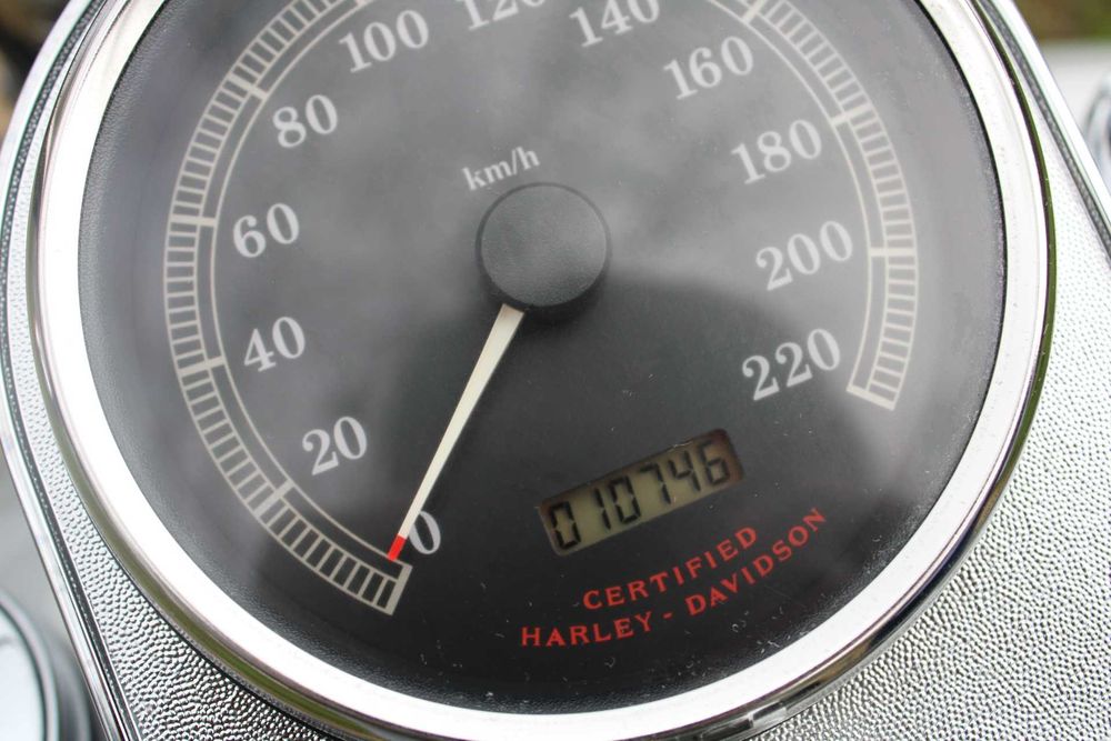 Harley-Davidson Softail Springer 100th Aniversary