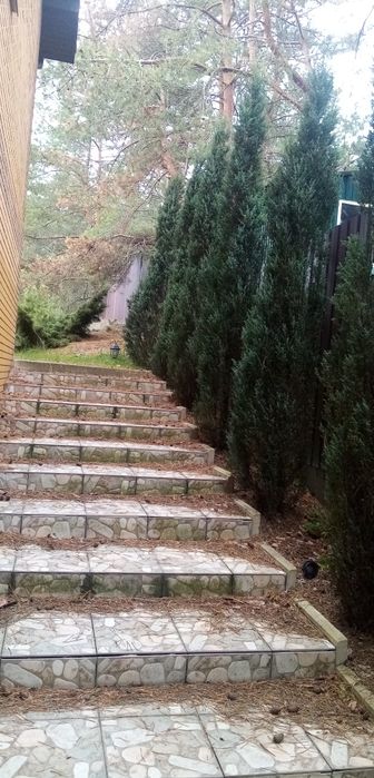 Сдам дом в безопасном тихом месте.поселок Артюховка Змеевского р. 2 эт