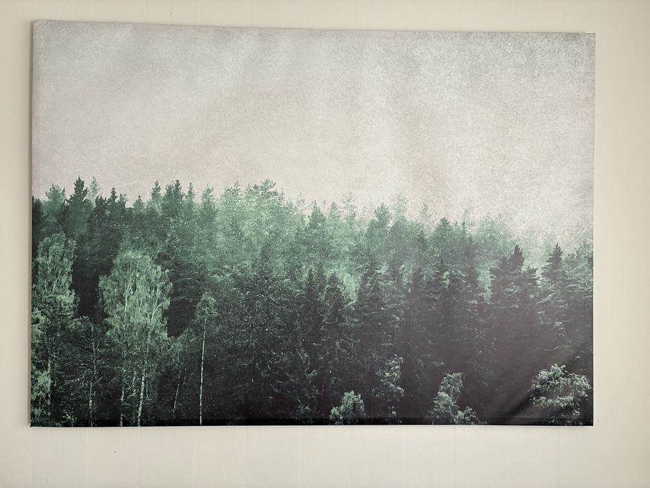 Duży obraz Ikea. Las drzewa. 100x140cm.