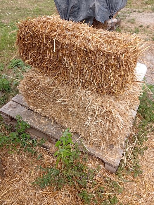 Продам солому в круглых квадратных тюках