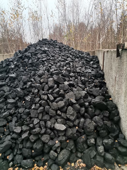 Węgiel kostka gruby polski