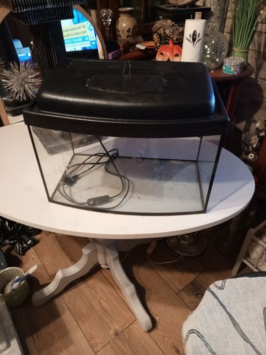 Akwarium panoramiczne