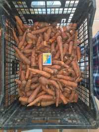 Продам дрібну моркву домашню.