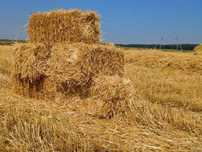 Солом'яні тюки  продам