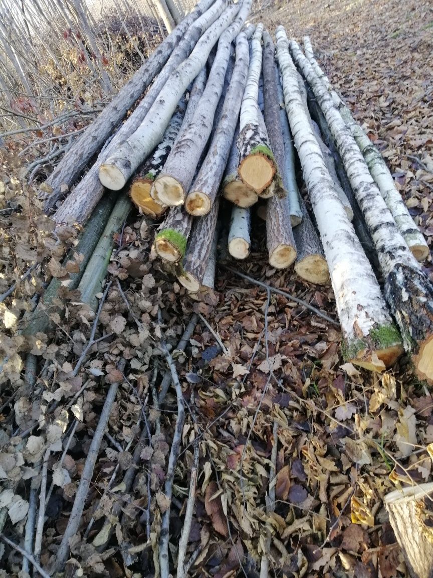 Стойки під монолітну плиту.