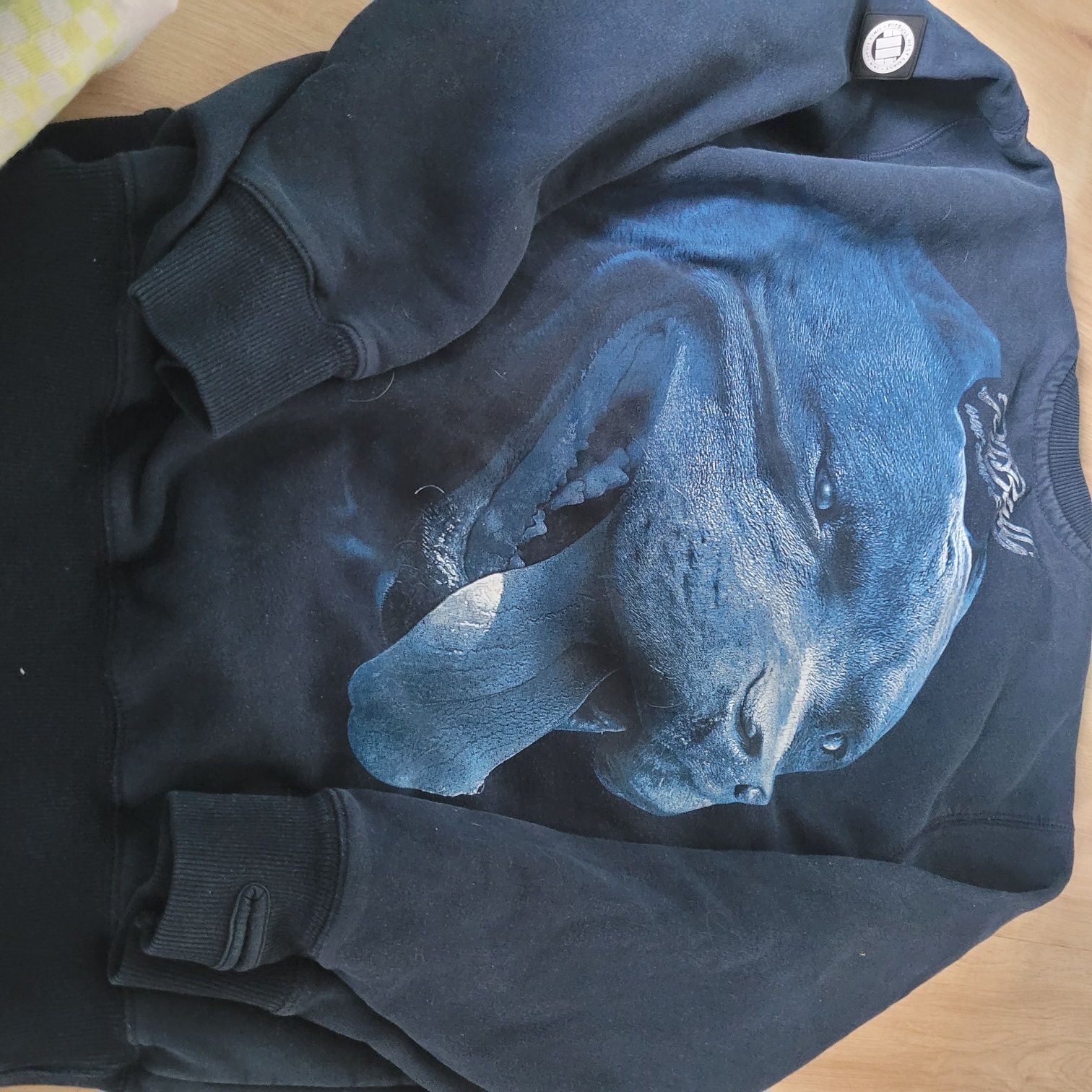 Bluza Pitbull męska