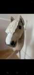 Hobby Horse Amiga