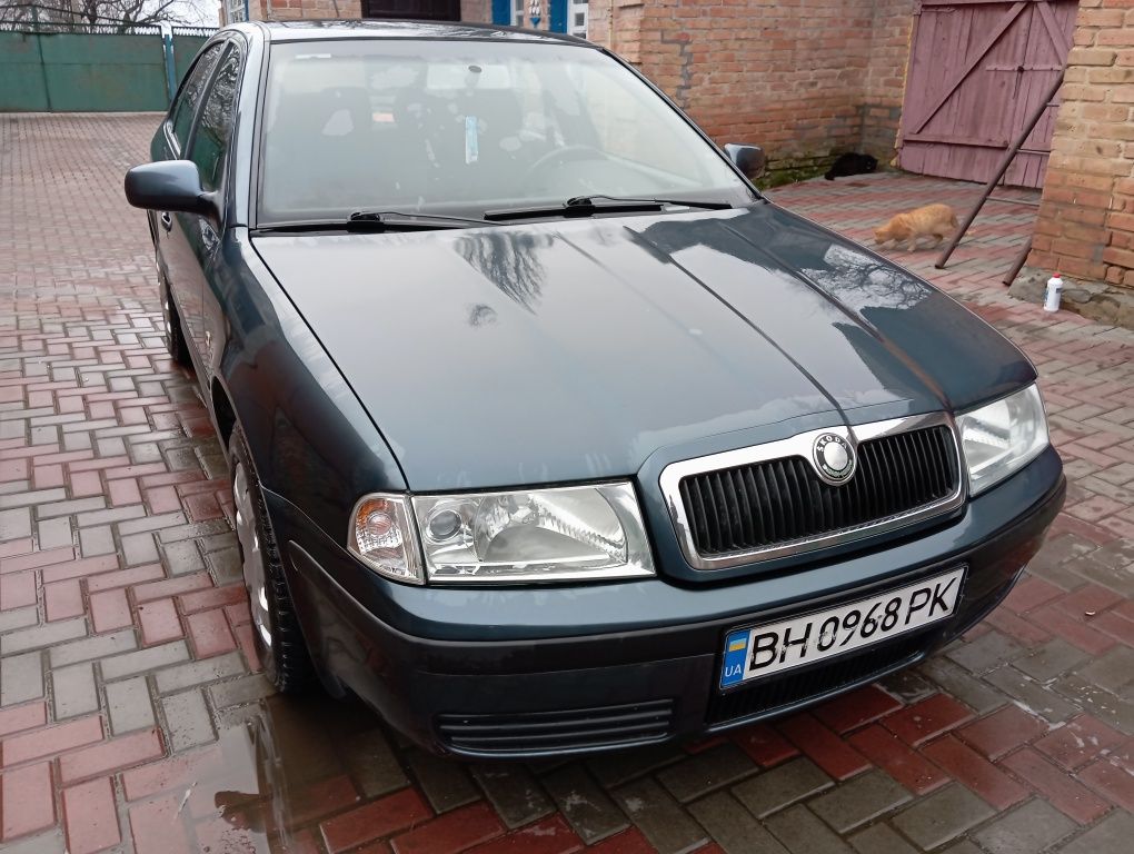 Школа Октавія skoda octavia