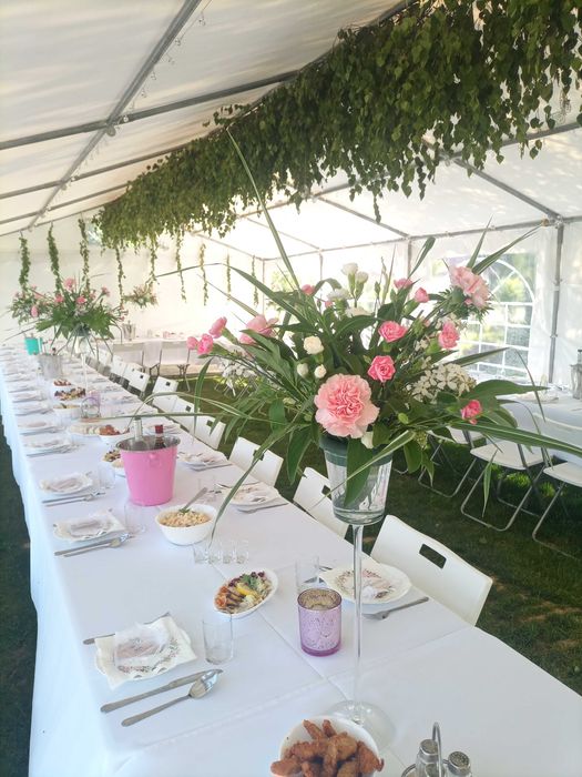 Namiot imprezowy na 50 osób 5*8/wynajem