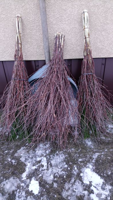 Віник банний, сауна, мітли 70₴