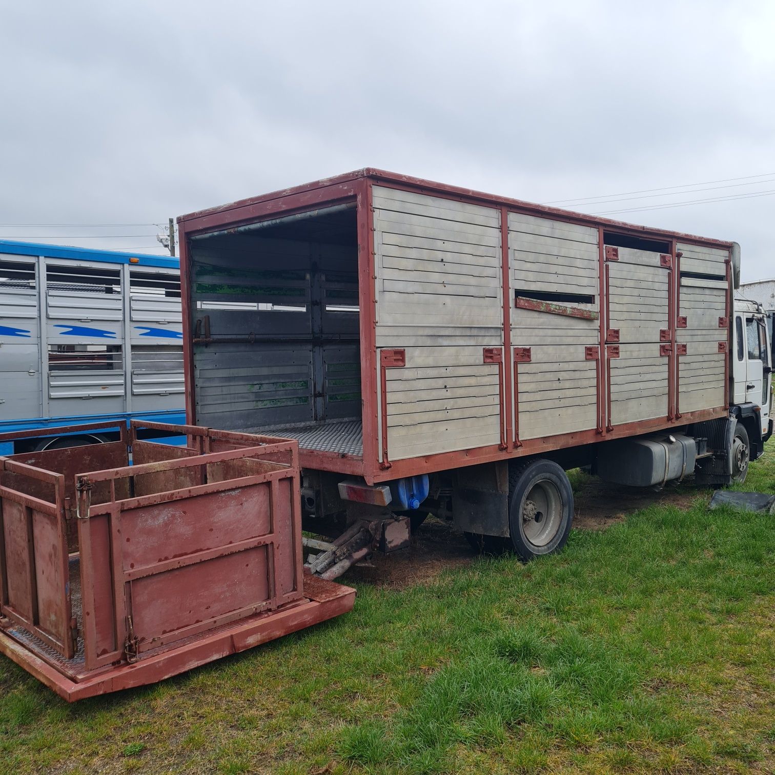 Volvo FL6 12 do żywca, bydła,  zwierząt