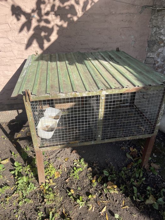 Клетка маточник для кролей