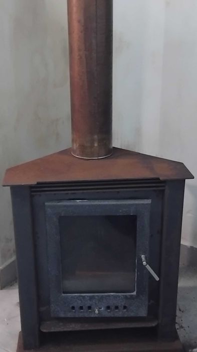 Salamandra em bom estado