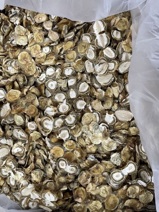 Гриб-веселка. Сухі плоди,оптом і в роздріб