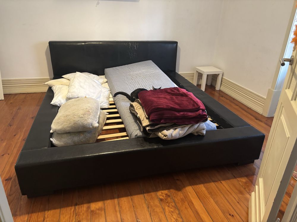 Cama Casal em Polipele