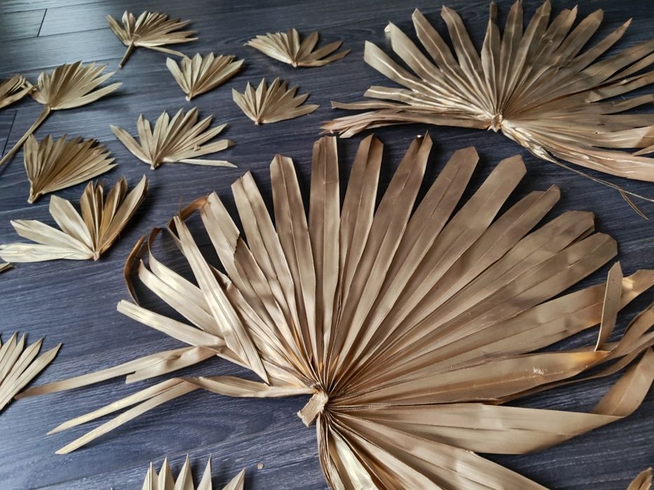 Liście susz złote palmy ozdoba weselna impreza dekoracja tropikalny