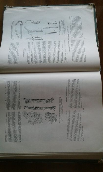 Книга полезных советов 1959 года