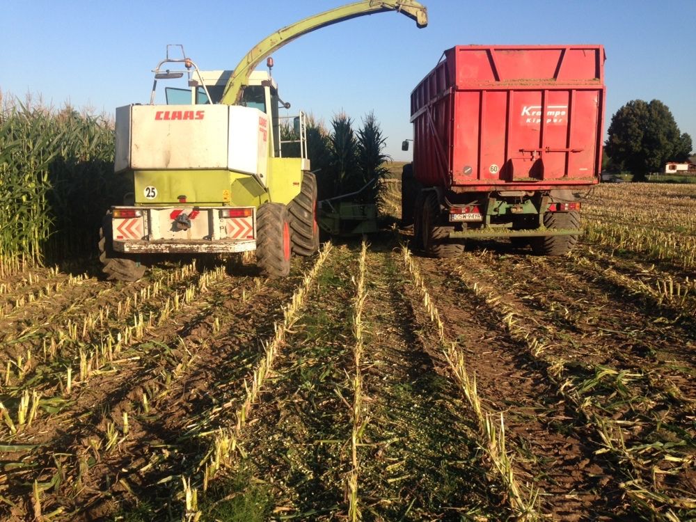 uslugi koszenie młócenie  zbóż, rzepaku ,wywóz gnojowicy, transport