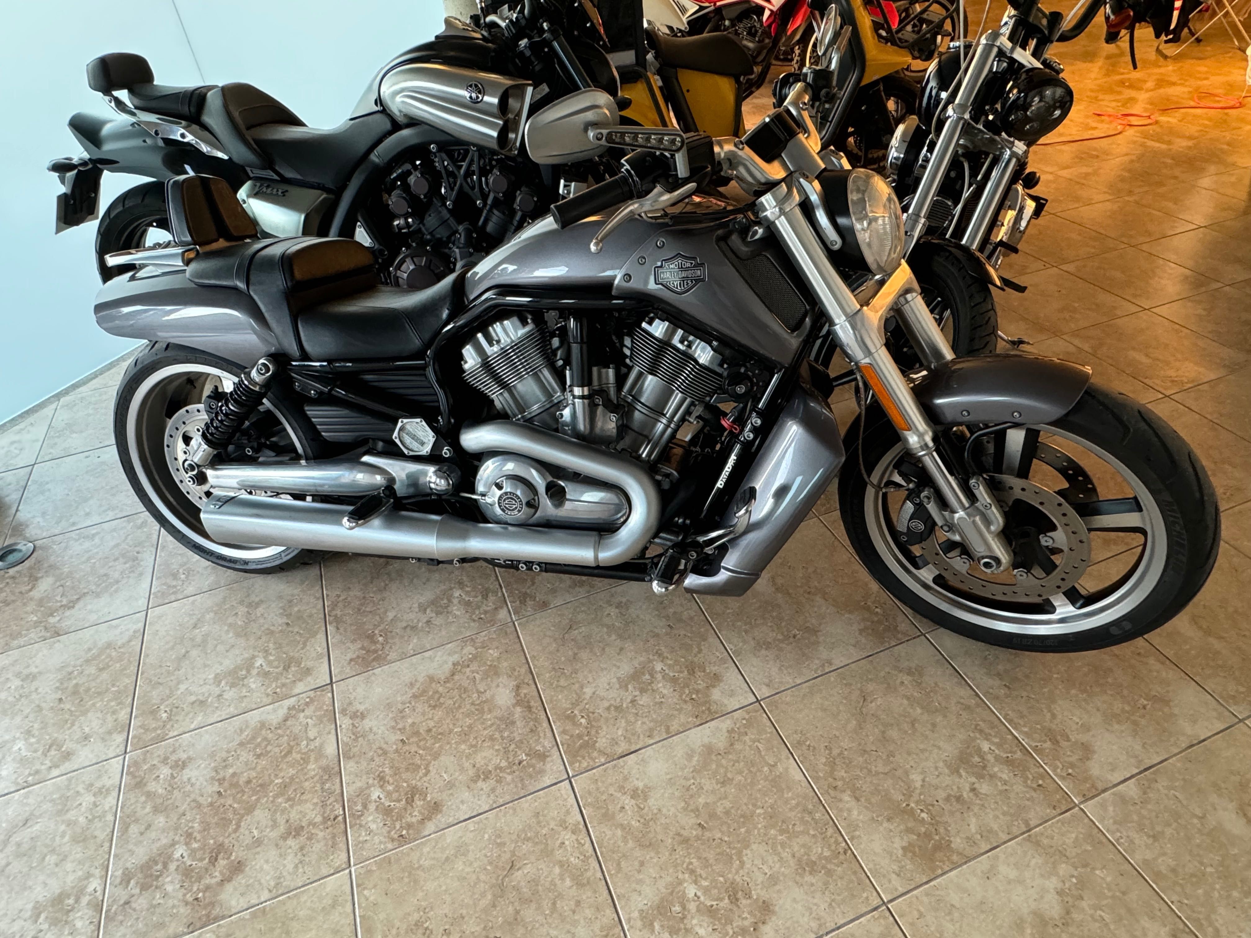 Harley v rod muscle