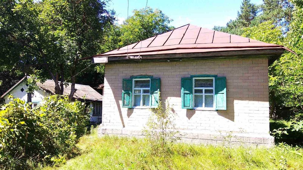 Продається будинок в с. Березняки