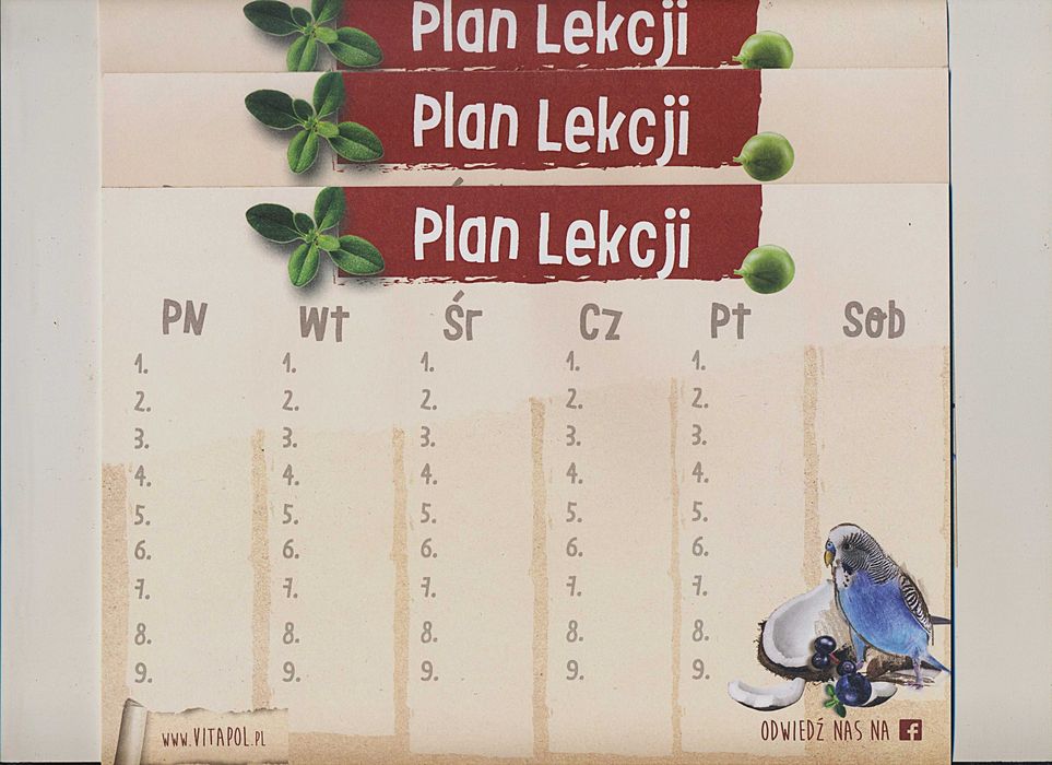 Ładny piórnik szkolny plus gratis