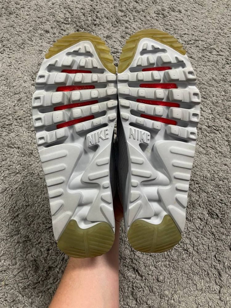 Кросівки Nike Air Max