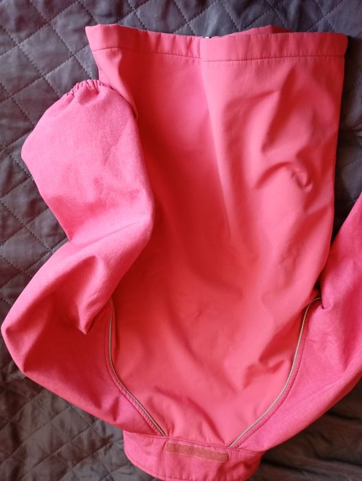 Dziewczęcy Softshell e ciekawym kolorze  bez kaptura