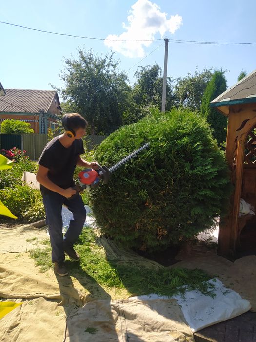 Стрижка рослин, посів газону, обрізка дерев