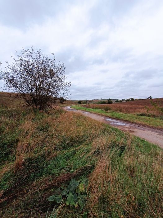 Продаж ділянки в Обарові. Асфальтний доїзд.