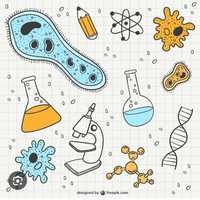 Explicações e Preparação para Exame  Biologia e Geologia