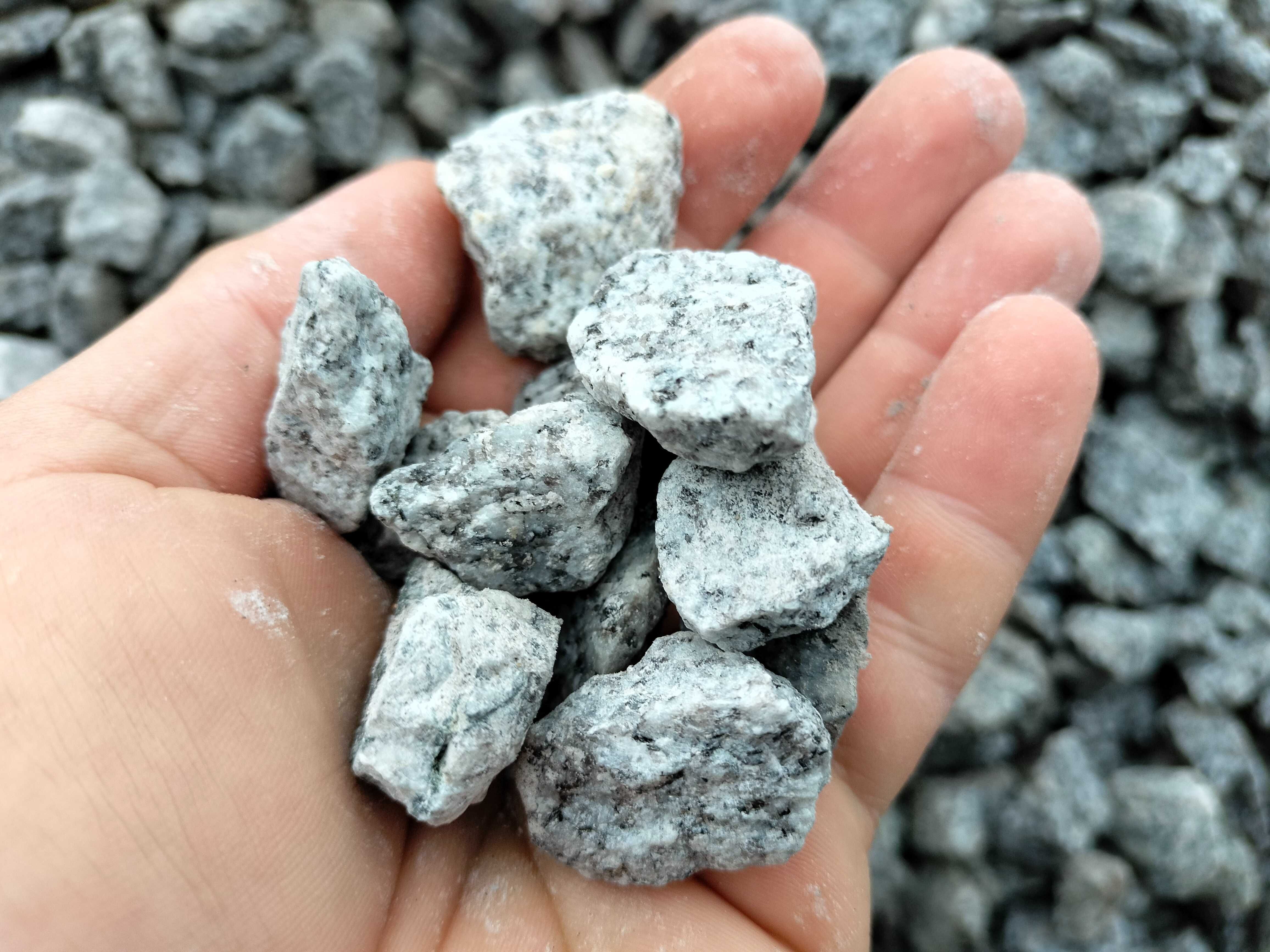 Grys granitowy, dalmatyńczyk, kamień ozdobny do ogrodu, frakcja 16-22