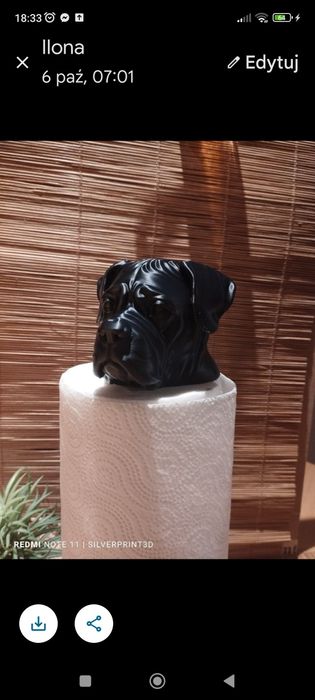 Zestaw 2*cane Corso 1* buldog