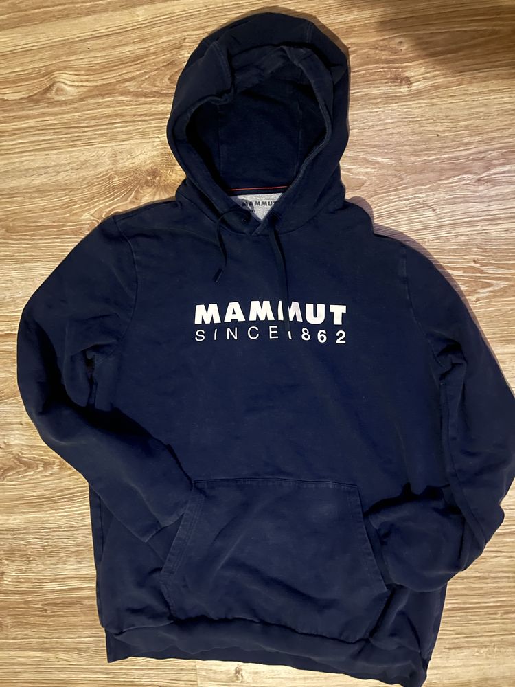 Худі Mammut синя