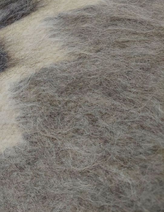 Ліжник карпатський преміум класу