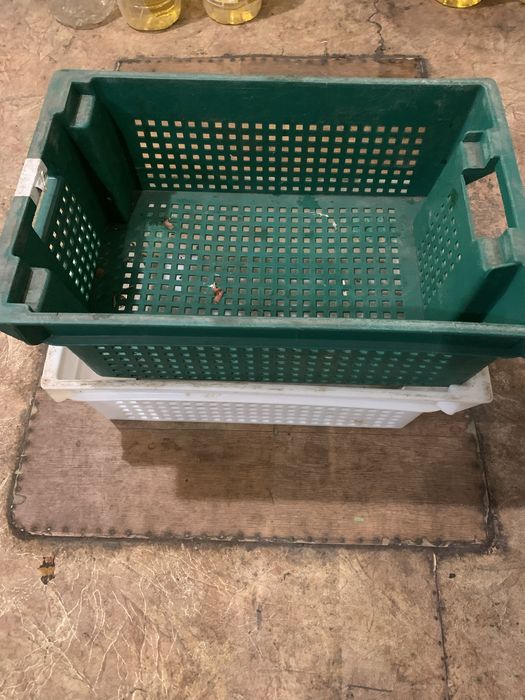 Продам ящики лотки овочеві