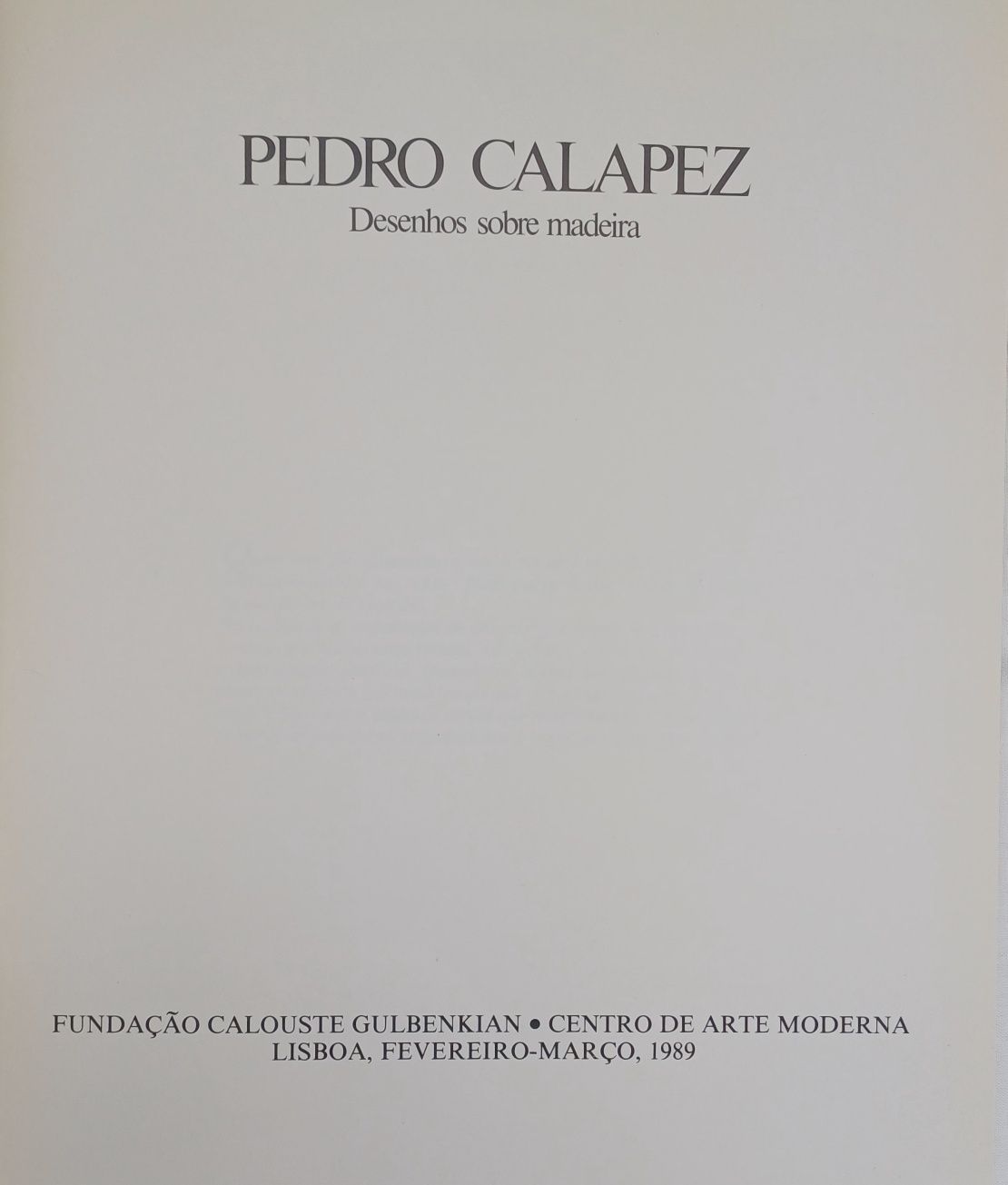 Arte Pedro Calapez Desenhos sobre Madeira Catálogo