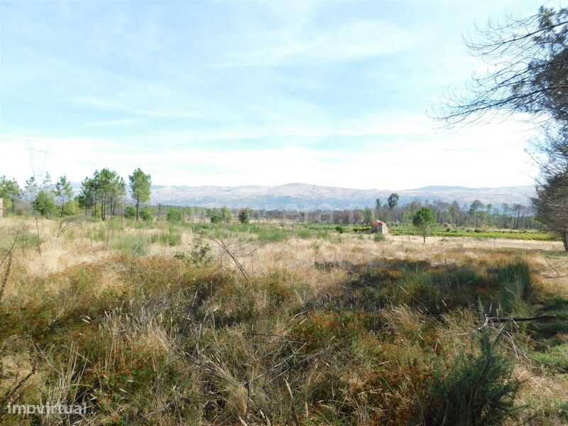 Terreno / Seia, Tourais