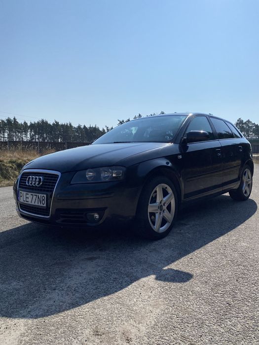Audi A3 8P 1.9 TDI 2004