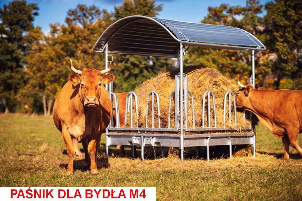 Paśnik dla koni bydła krów opasów alpak