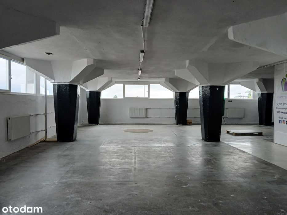 Wynajmę magazyn 220 m² – idealny na salę sportową lub studio tańca